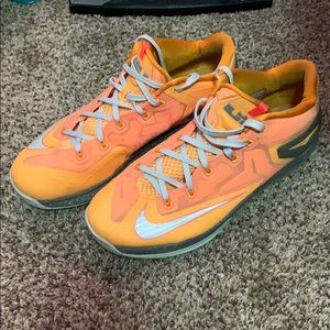 Nike Lebron 11 Lows “Floridians”